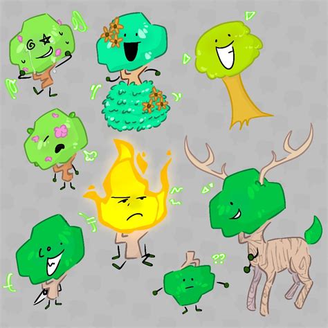 BFB Branch .